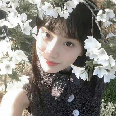 一个明星的诞生